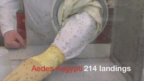 中年发福克星！冰爽+塑形+驱蚊，穿上躺着也能塑身