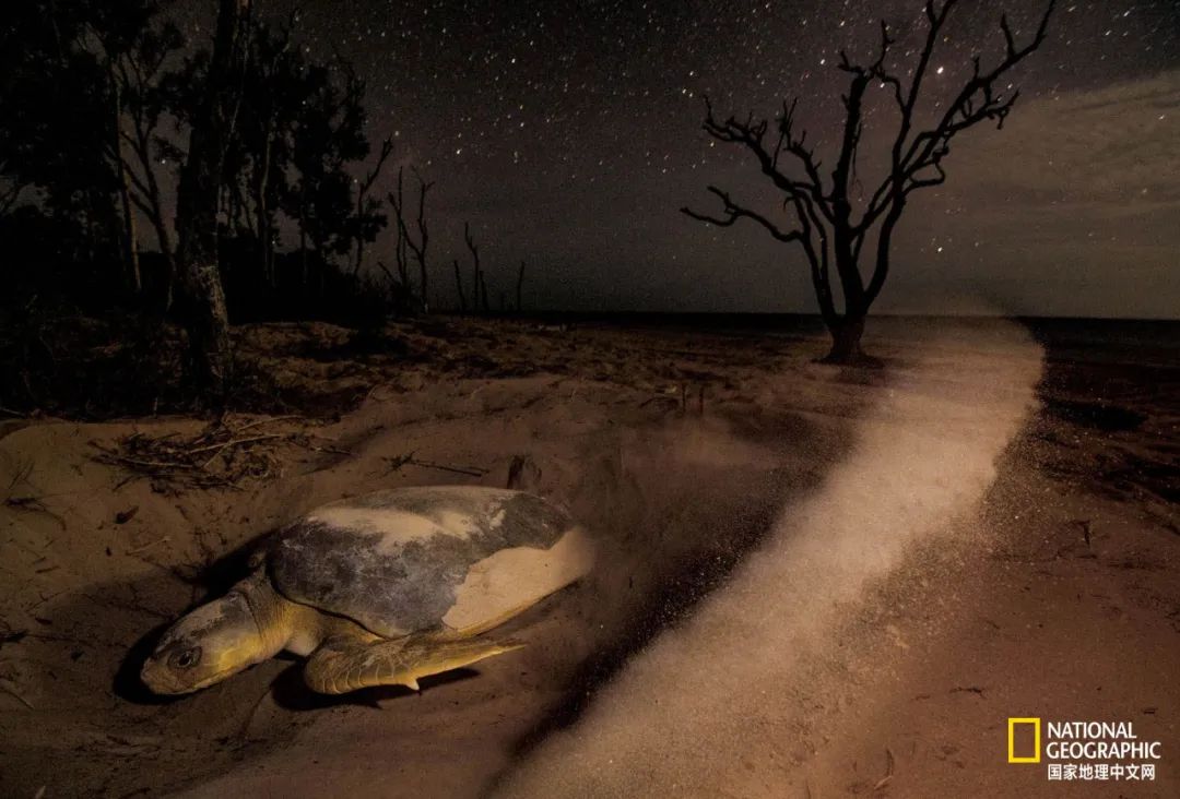 新冠肆虐,新冠在东南亚持续肆虐