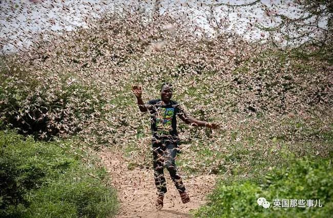 22岁的摔角女星自杀身亡。这背后，又是一场网络*力暴**的悲剧