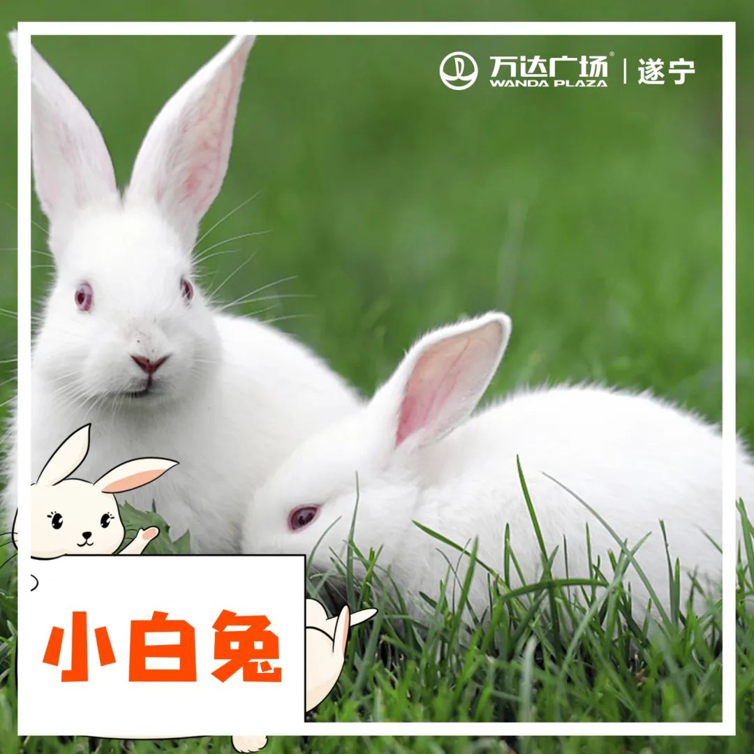 小宝贝解封后秒变“神兽”，这里有魔力啊