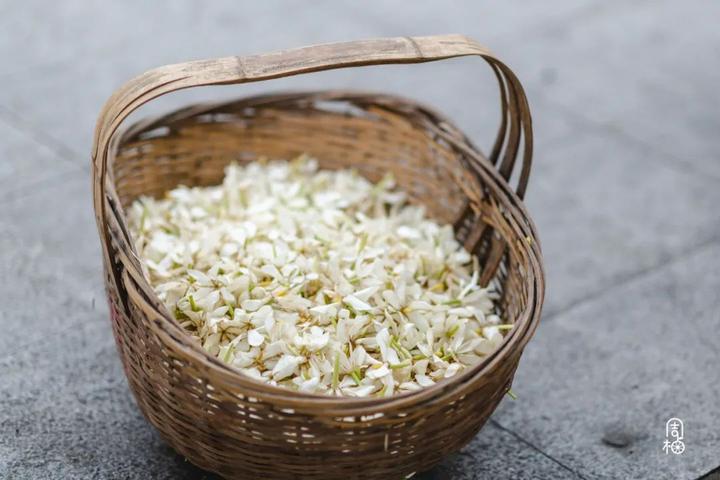 山支花如何炒好吃,清炒山支花的家常做法