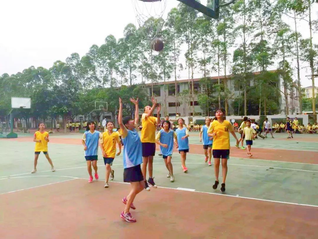 广东增城第一批学校名单,增城2所学校上榜省级名单