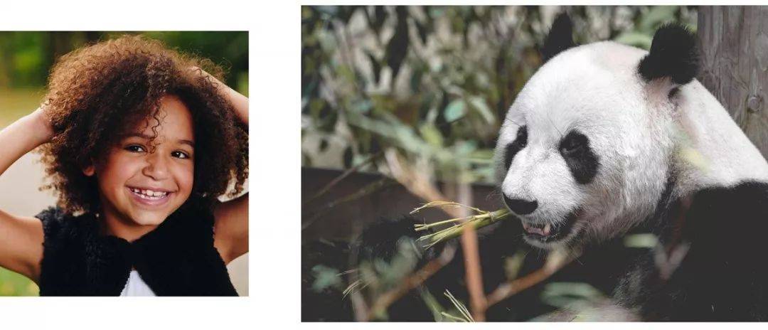 烟盒创意设计,包装设计奖烟盒