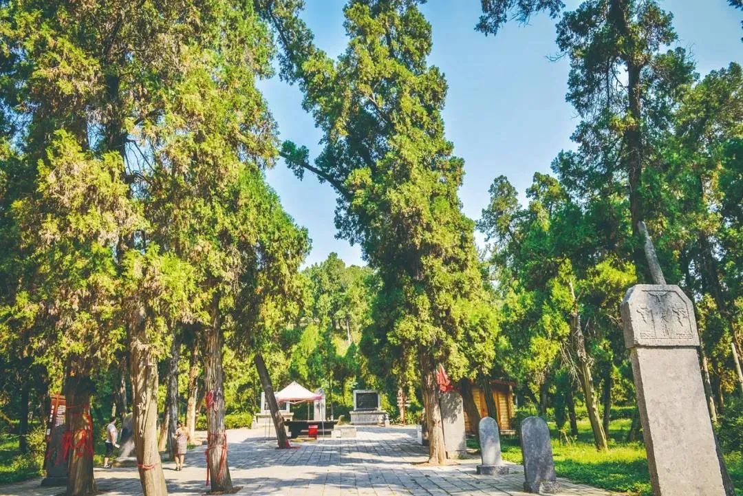 洛阳打卡攻略,洛阳打卡必去的十大景点