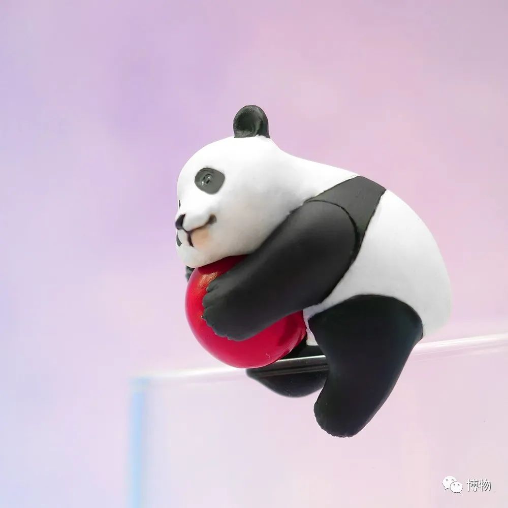 能拍彩色照片的大熊猫,大熊猫为啥不能拥有一张彩色照片