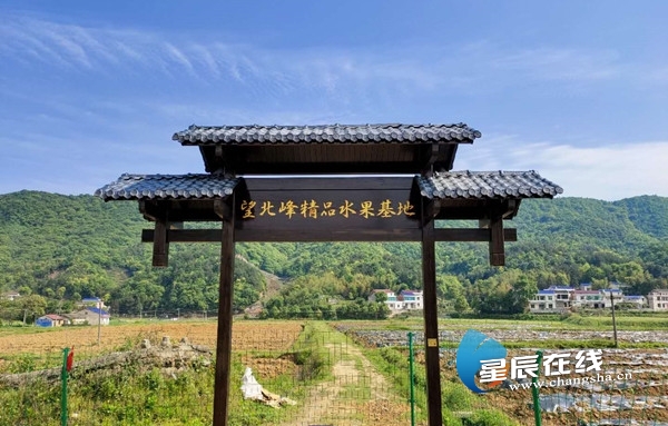 长沙唱bigbang的歌,国企公司大合唱