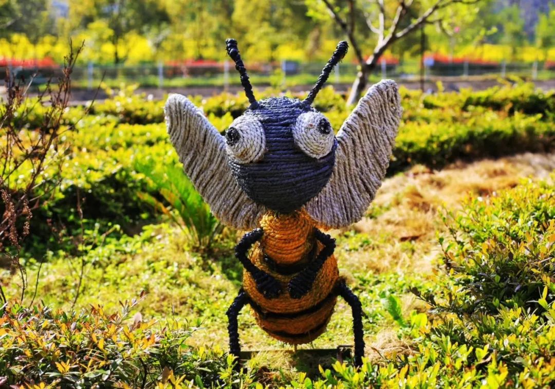 大朋友小朋友,六一去哪嗨?宜昌14家景区特惠福利来袭!