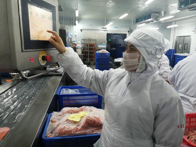 鹤山市：技术能手赵海英|让青春在奋斗中绽放