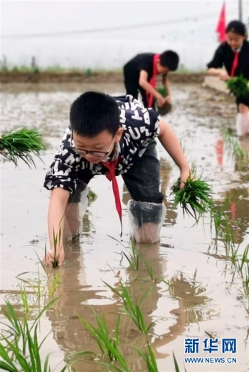 点亮六一视频,点亮六一活动