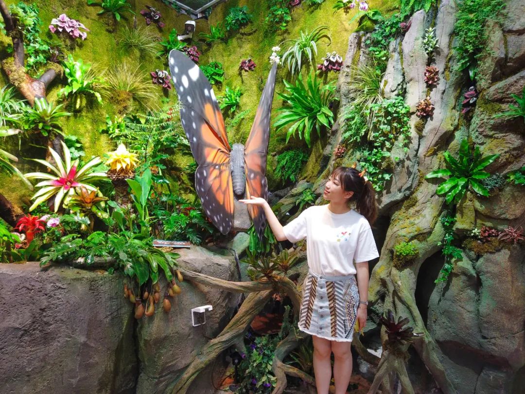 打卡安华汇欢乐舟主题公园,安华汇欢乐舟主题乐园真实视频