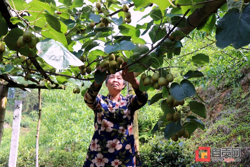 脱贫感动故事,脱贫感动的故事视频