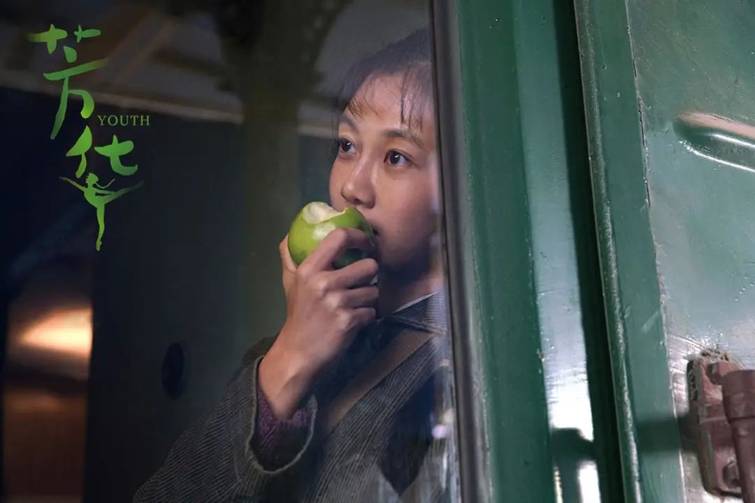 冯小刚的芳华简介,芳华冯小刚三美