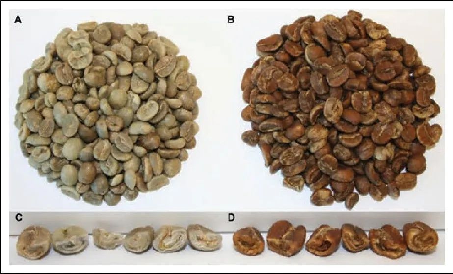 以前小看无咖啡因咖啡了，原来它是用前沿物理制造的