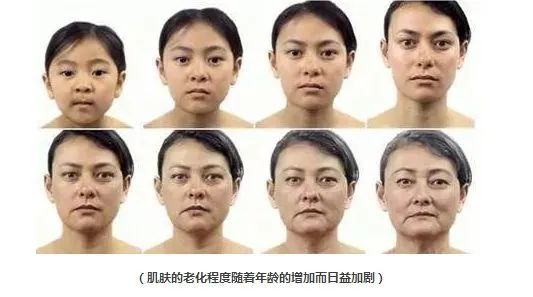 深度测评报告2019,48个小时深度测评