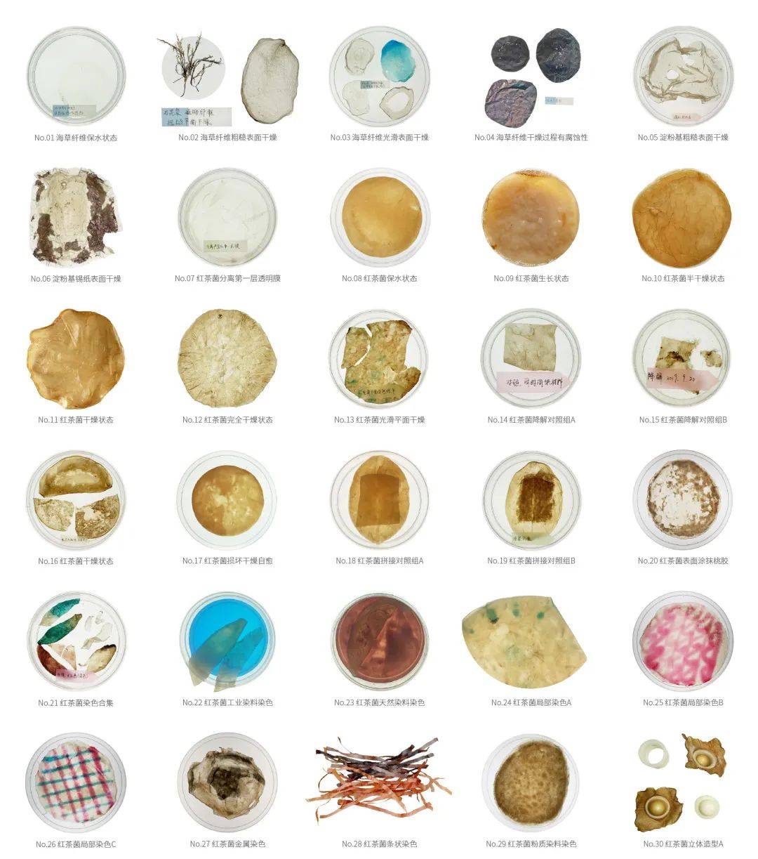 2021中央美术学院设计作品,中央美术学院2020毕业展作品