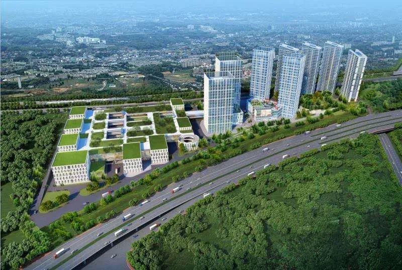 不到海边吃遍胶东海鲜,龙岗吃海鲜的地方推荐