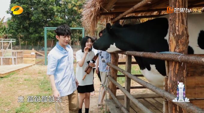 何炅和黄磊现状,何炅黄磊日常生活