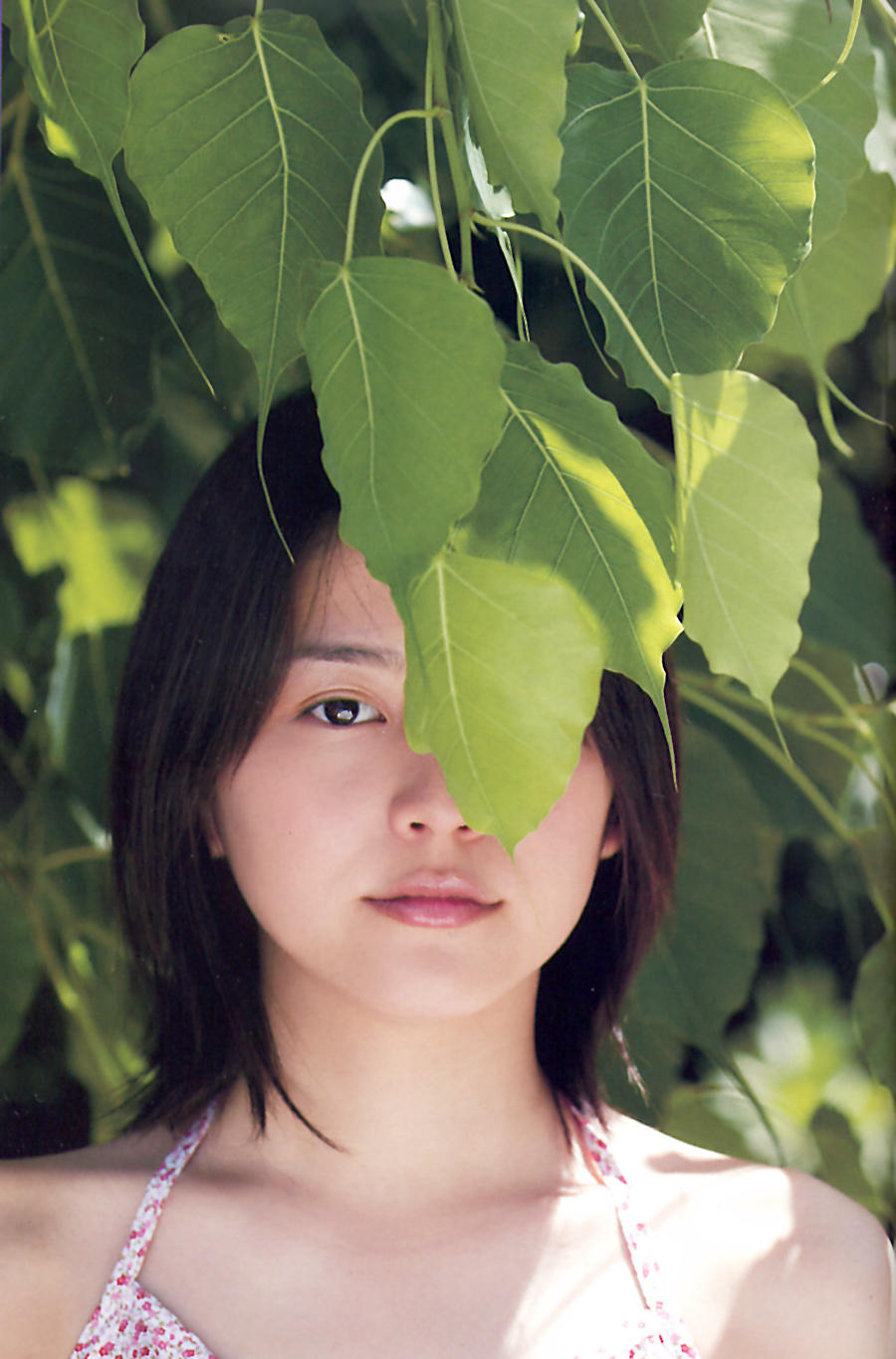 冬宝公主长泽雅美,长泽雅美13岁到30岁照片