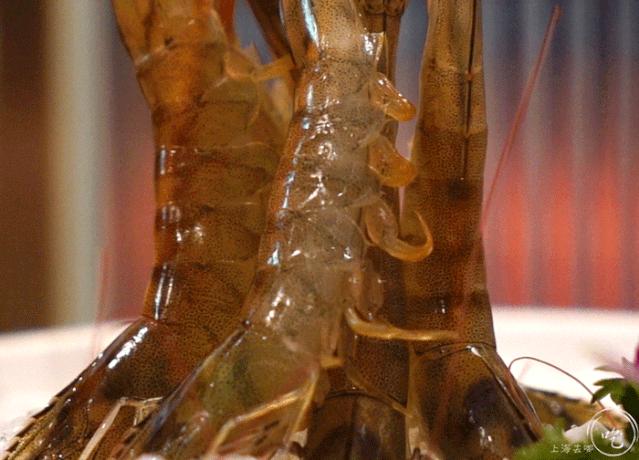 开哪排到哪！「朱雀打边炉」浦东虹口也有了