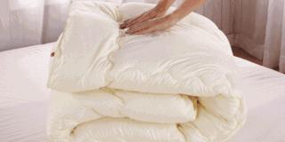 蚕丝被曝光事件,蚕丝被真相图片