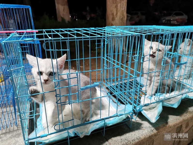 滨州夜经济最新消息,滨州夜经济