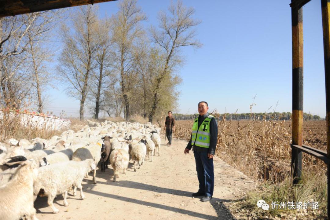 水火和火水的区别,水火和