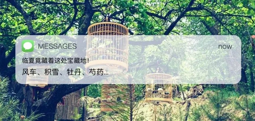 厦门旅游轻奢酒店,厦门适合度假的酒店