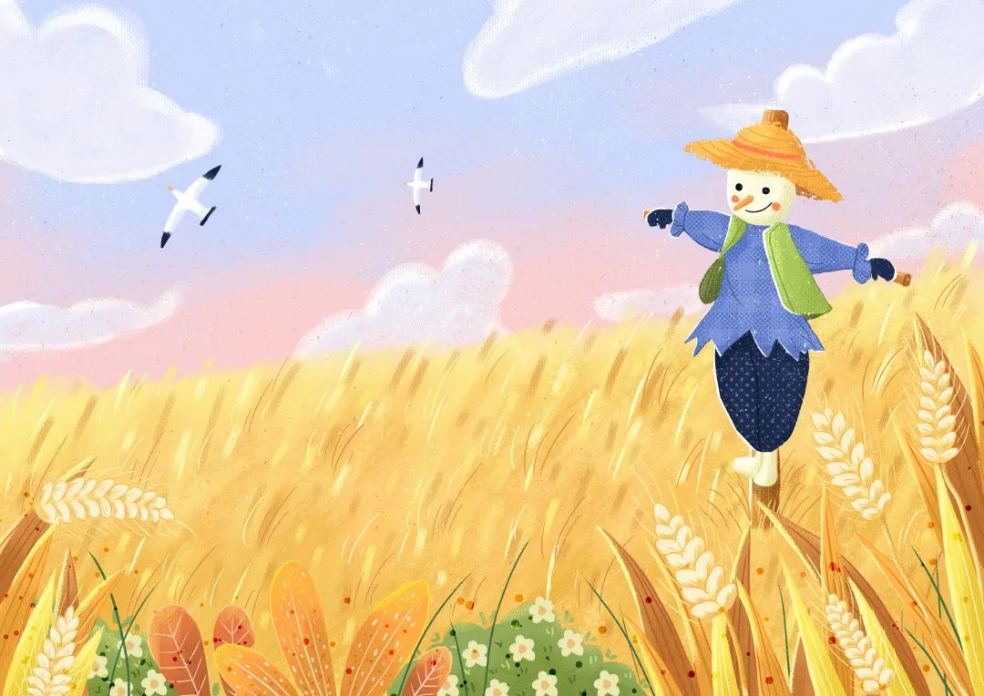 芒种至仲夏始人生丰收时,芒种至仲夏始介绍