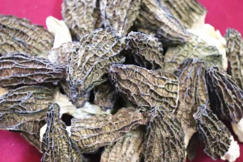 好嘢团购优惠,广州好嘢直播节