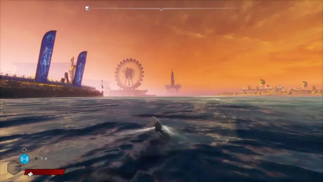 食人鲨图文评测,吃零食鲨鱼