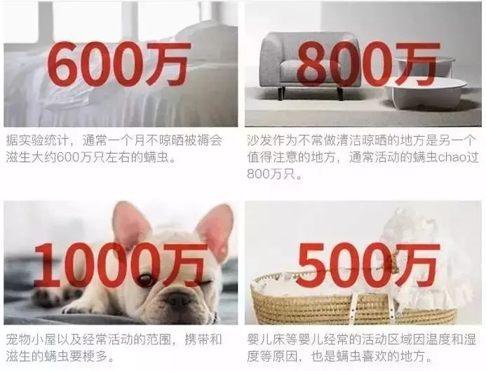 法国Lérane草本净螨贴，萃取天然植物，除螨更安心