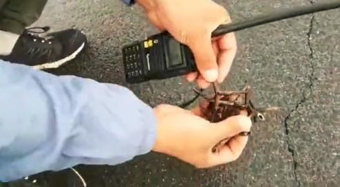 路面被洒满铁蒺藜，致多车接连爆胎？！警方调查结果来了