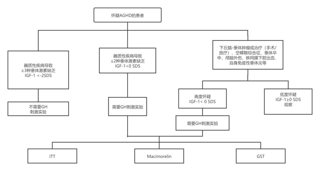 生长激素权威解读,生长激素临床应用指南