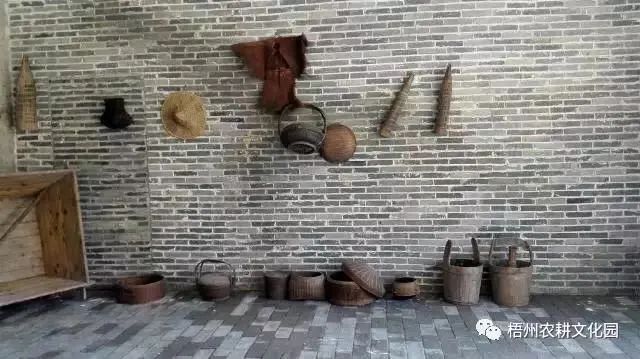 来梧州，体验岭南文化，吃遍大街小巷|“广西人游广西”精品自驾游路线