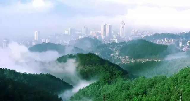 来梧州，体验岭南文化，吃遍大街小巷|“广西人游广西”精品自驾游路线