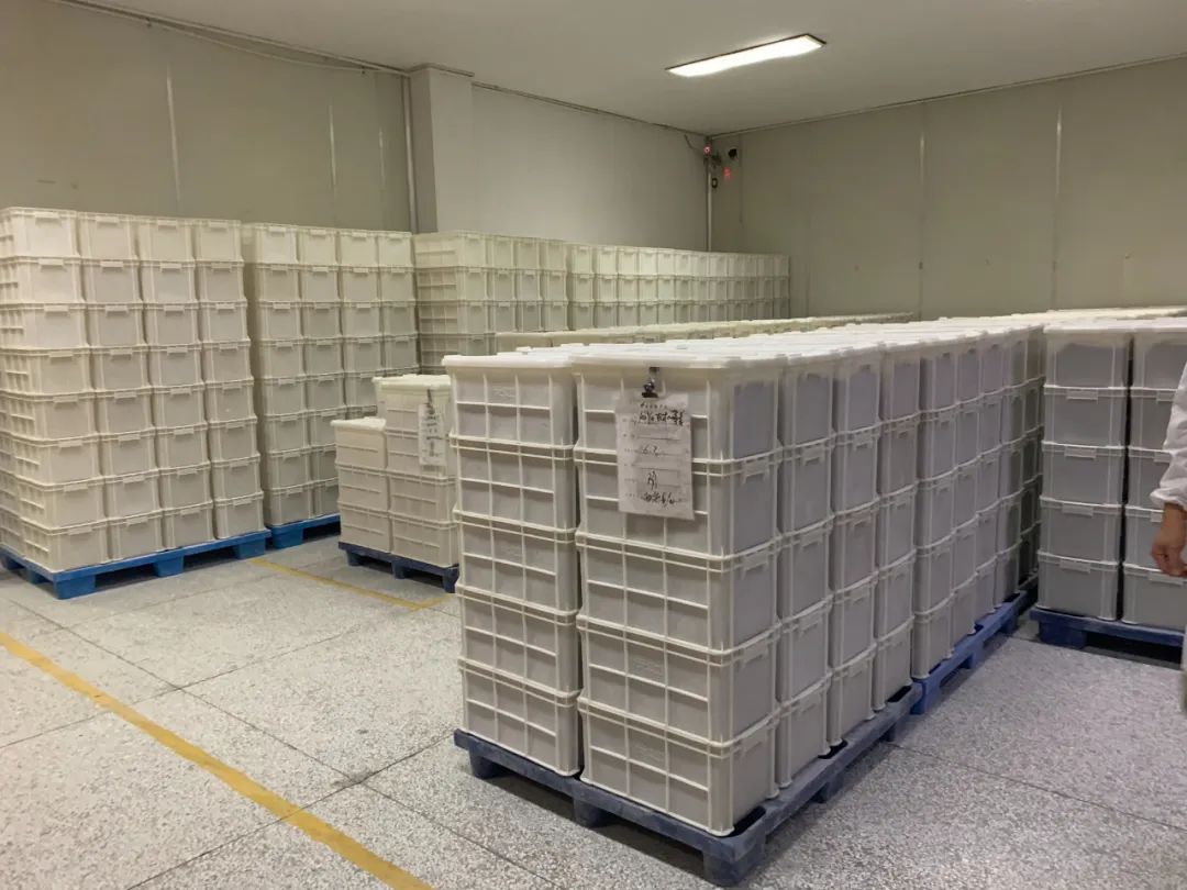 做了20年挂面出口数十个国家，萧山一家面条厂直呼“今年太难了！”他们生产的面条品质很好今起成本价在“每满生活”销售