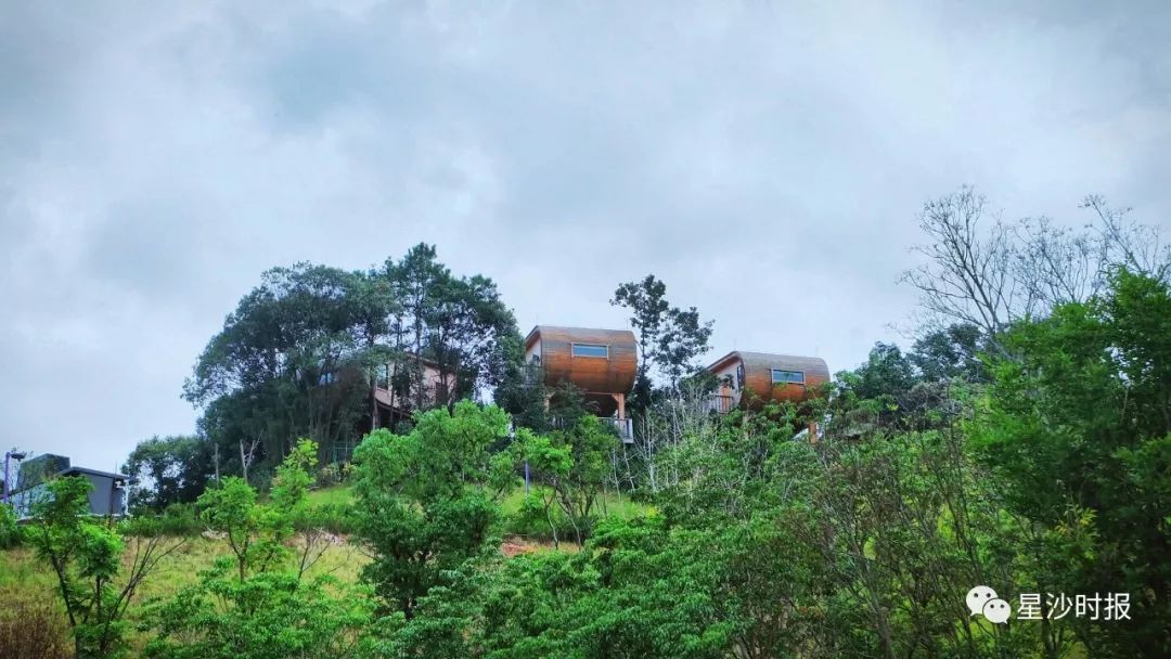 你好我叫长沙原版视频,你好我叫长沙县完整视频