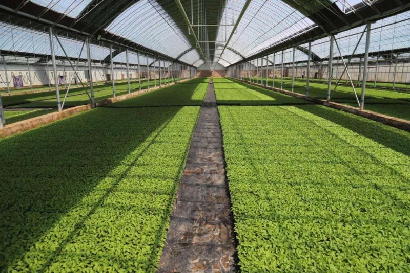 全旗脱贫攻坚工作总结,鄂托克前旗德善