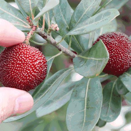 周末去哪儿⑫|王牌推荐，出行不愁！富阳山乡鲜得太“上头”啦！