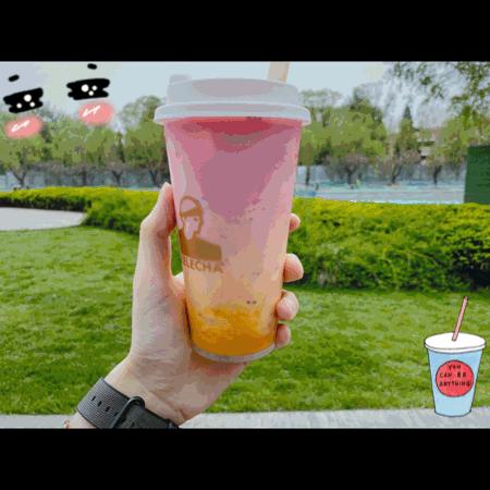 品尝10款奶茶,网红手摇奶茶都有什么口味