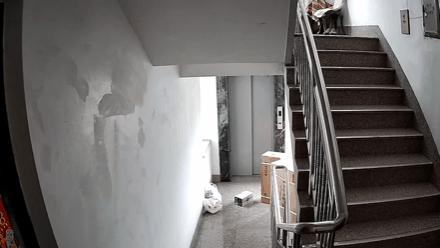 暖哭！“快递叔叔救妈妈danwu送空调，请您别怪他”