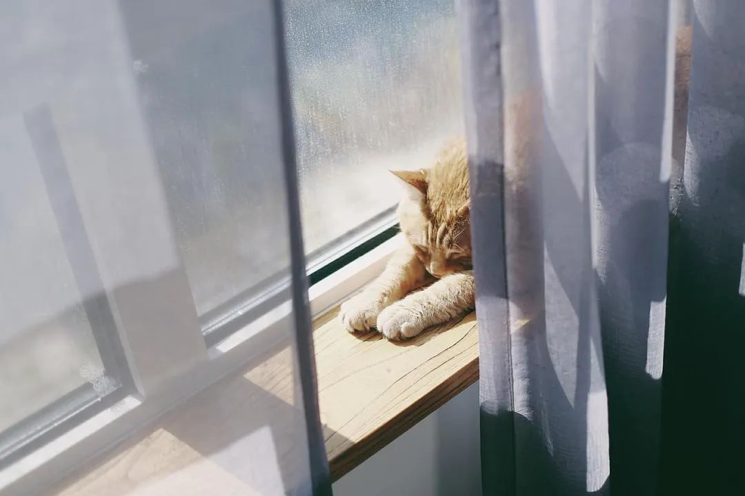 乘风破浪的妈妈，对硬装一窍不通也敢操刀改造78㎡“手枪房”