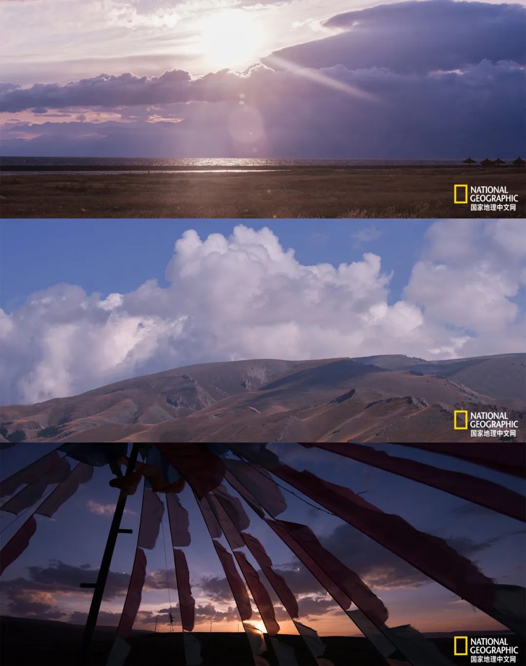 有一种异域风情的美,有一种前所未有的力量充斥着我