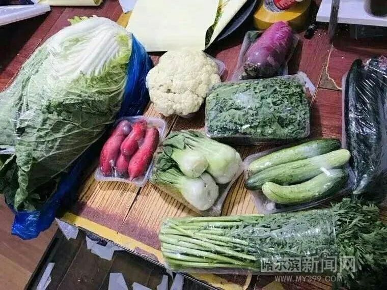 桦树村的菜熟了|村里建起配送车队,乡亲们有了产业