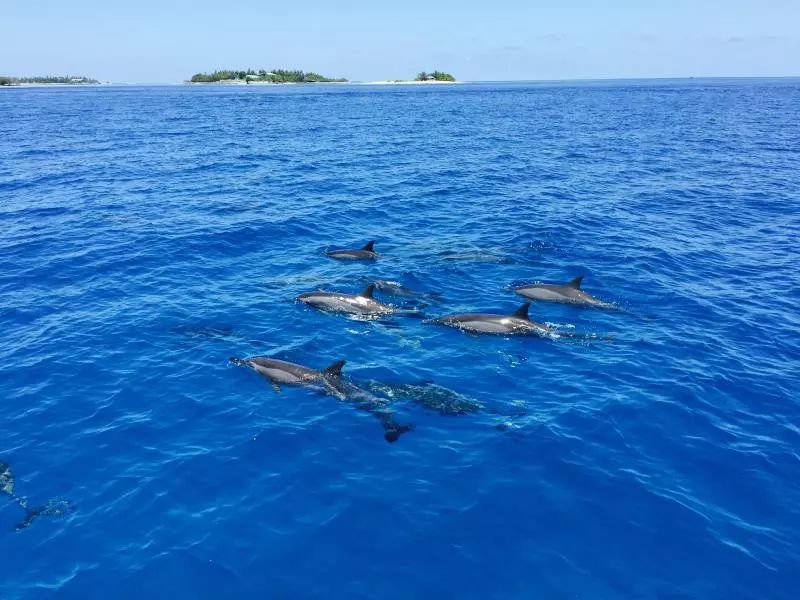 马代度假攻略,马代奢享酒店