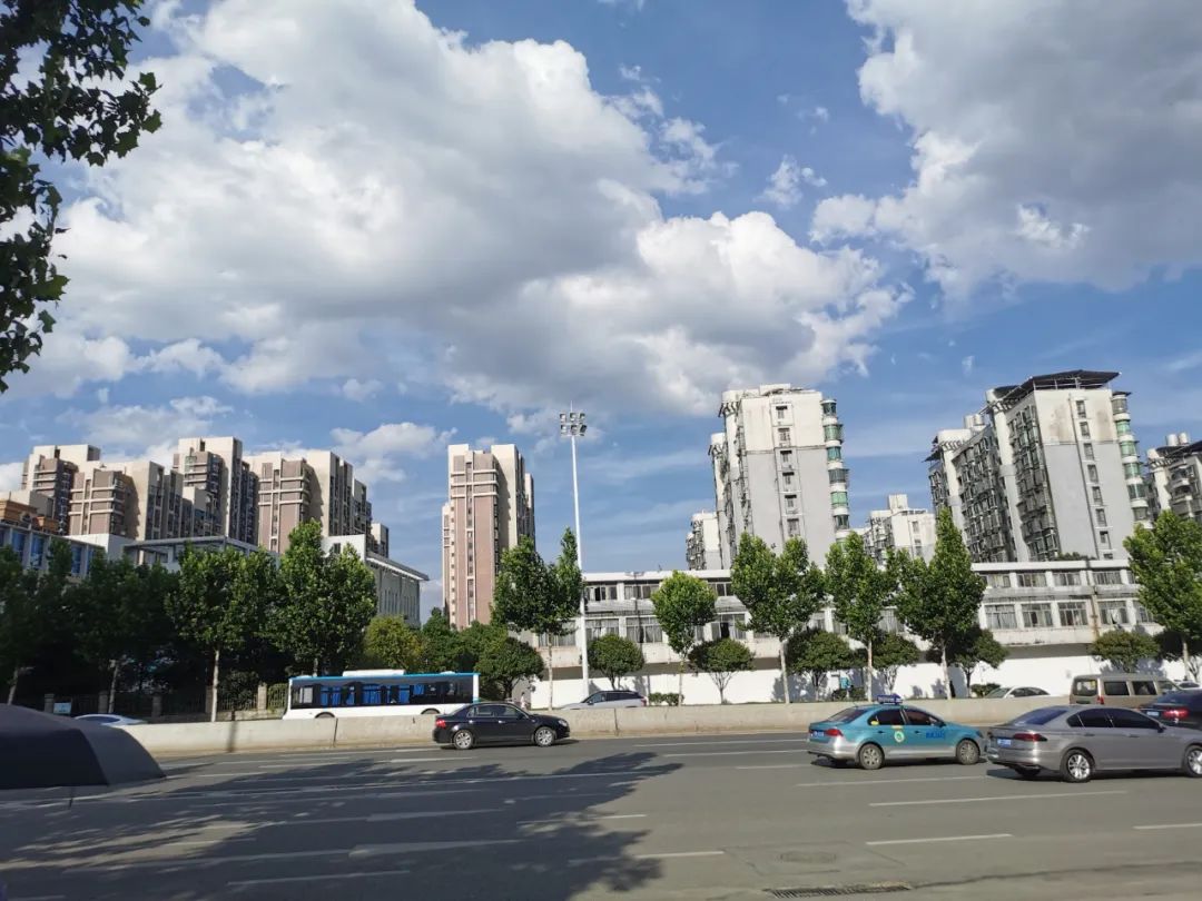 刷屏了！这样的开福蓝，请给我来一打