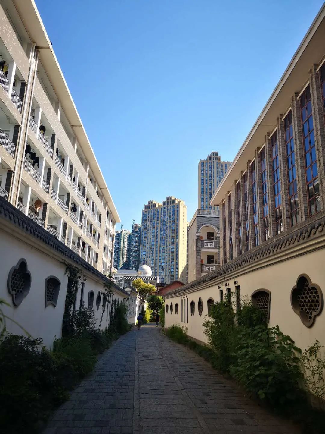 刷屏了！这样的开福蓝，请给我来一打