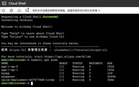 云平台容器技术,阿里云容器化部署