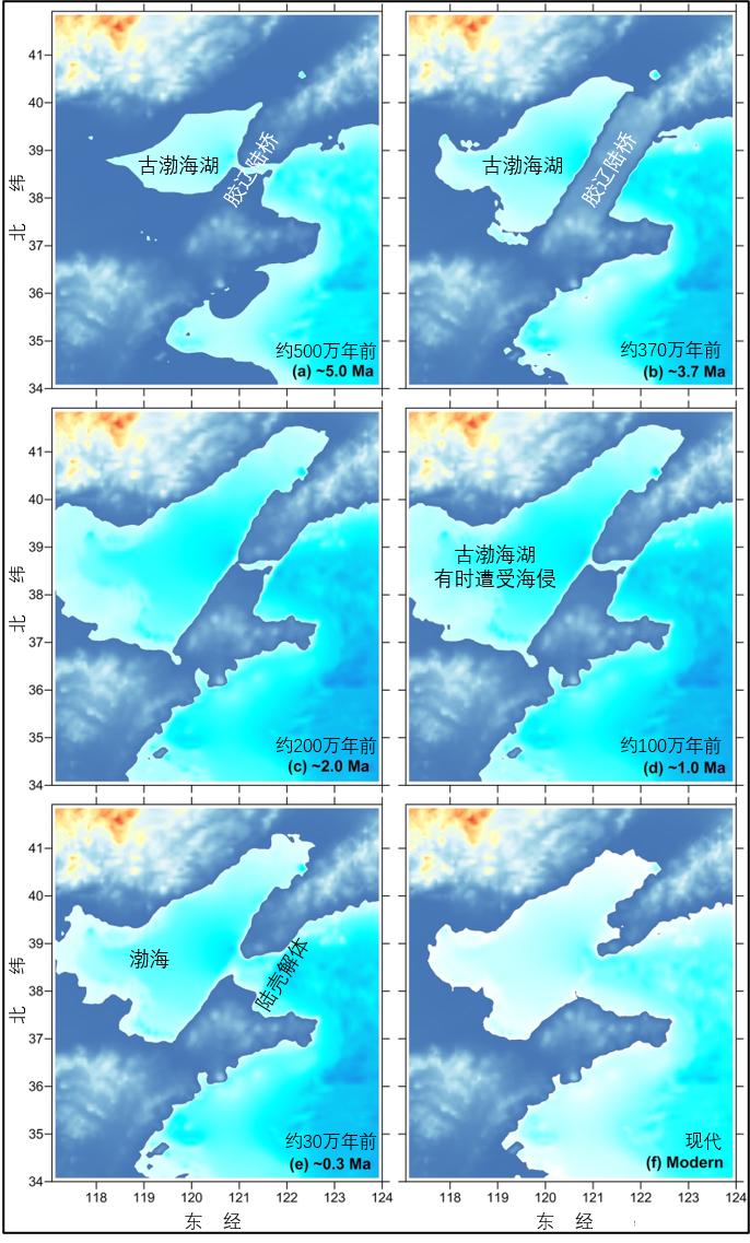 黄河会填平渤海吗,黄河会不会把渤海填平