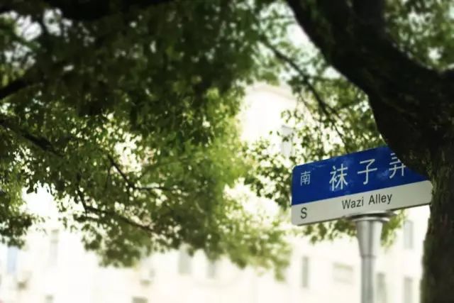 松江9号线好玩的地方有哪些呢,地铁松江一日游